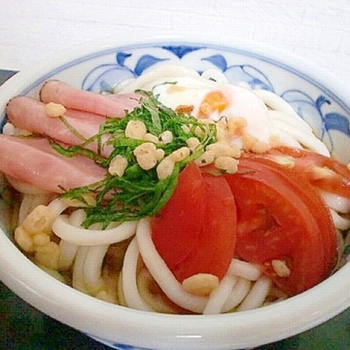 冷やしぶっかけサラダうどん